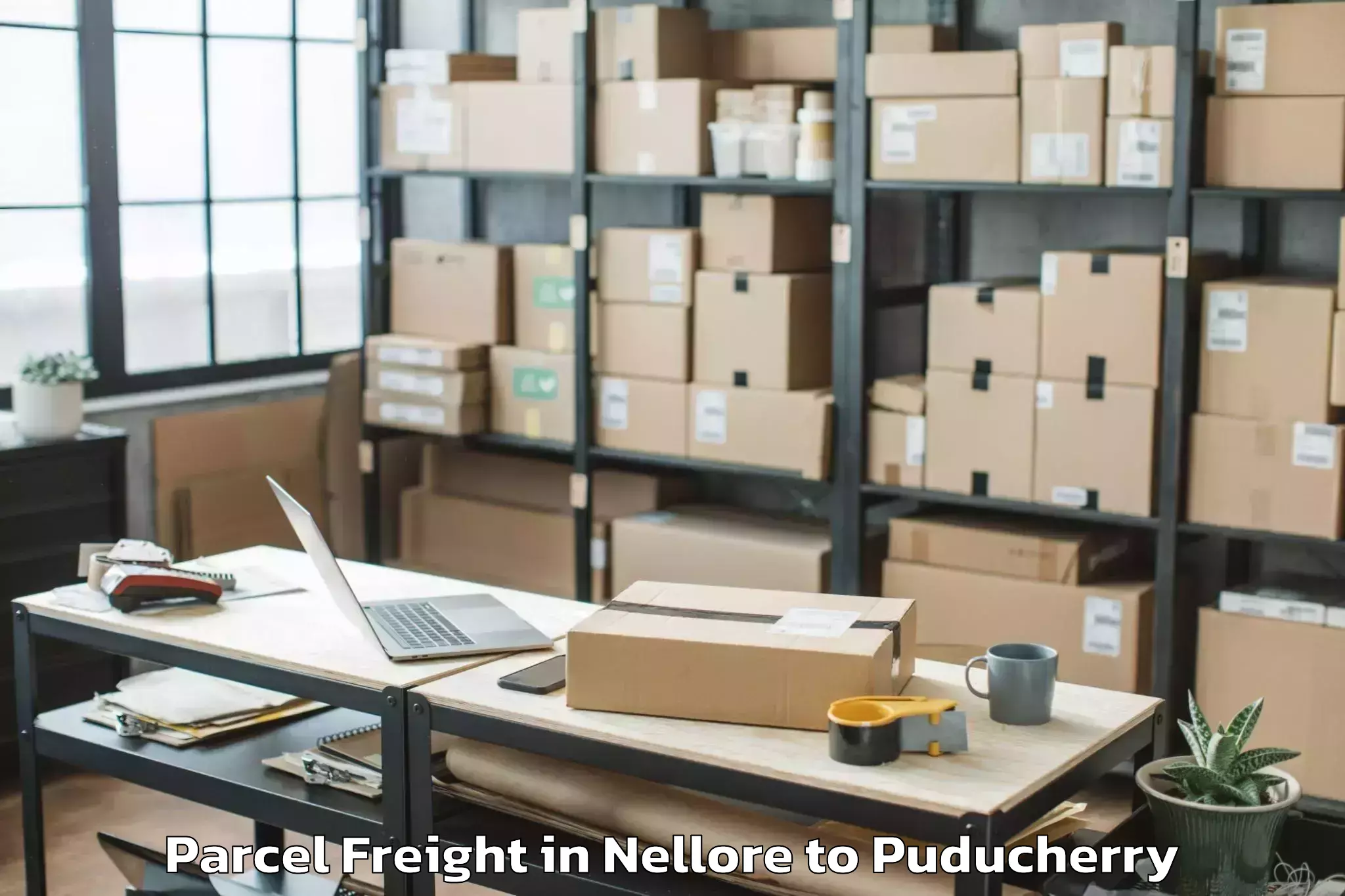 Top Nellore to Sri Balaji Vidyapeeth Puducher Parcel Freight Available